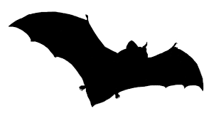 Bat Boxes