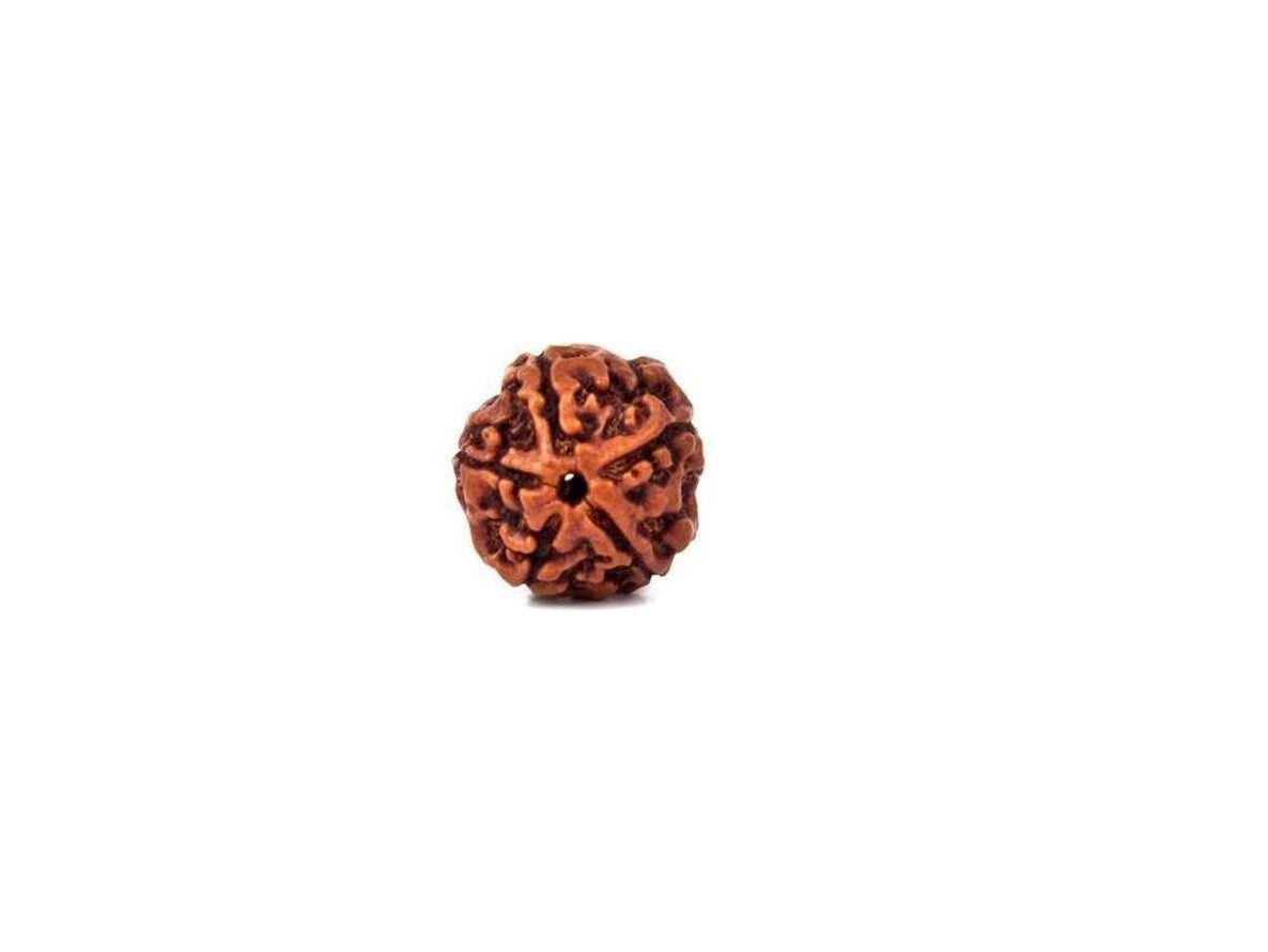 Original 5 Mukhi Nepali Rudraksha Bead without Lab Certificate (17-20 mm)