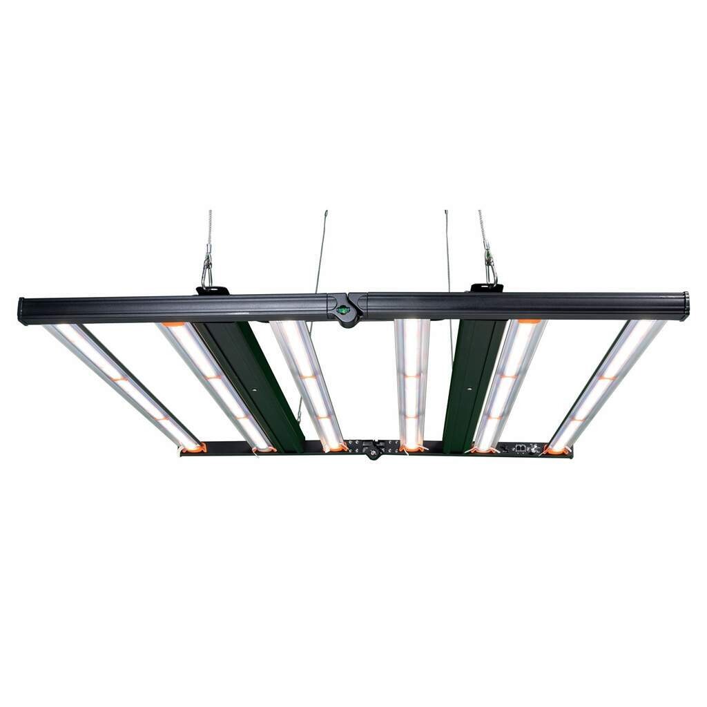 Lumen King 1000 Watt
