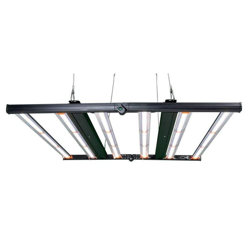 Lumen King 1000 Watt