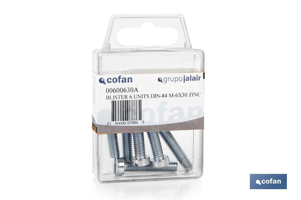 BL�STER DE 10 UDS. DIN-84 M-4X30 ZINC VENTA UNITARIA