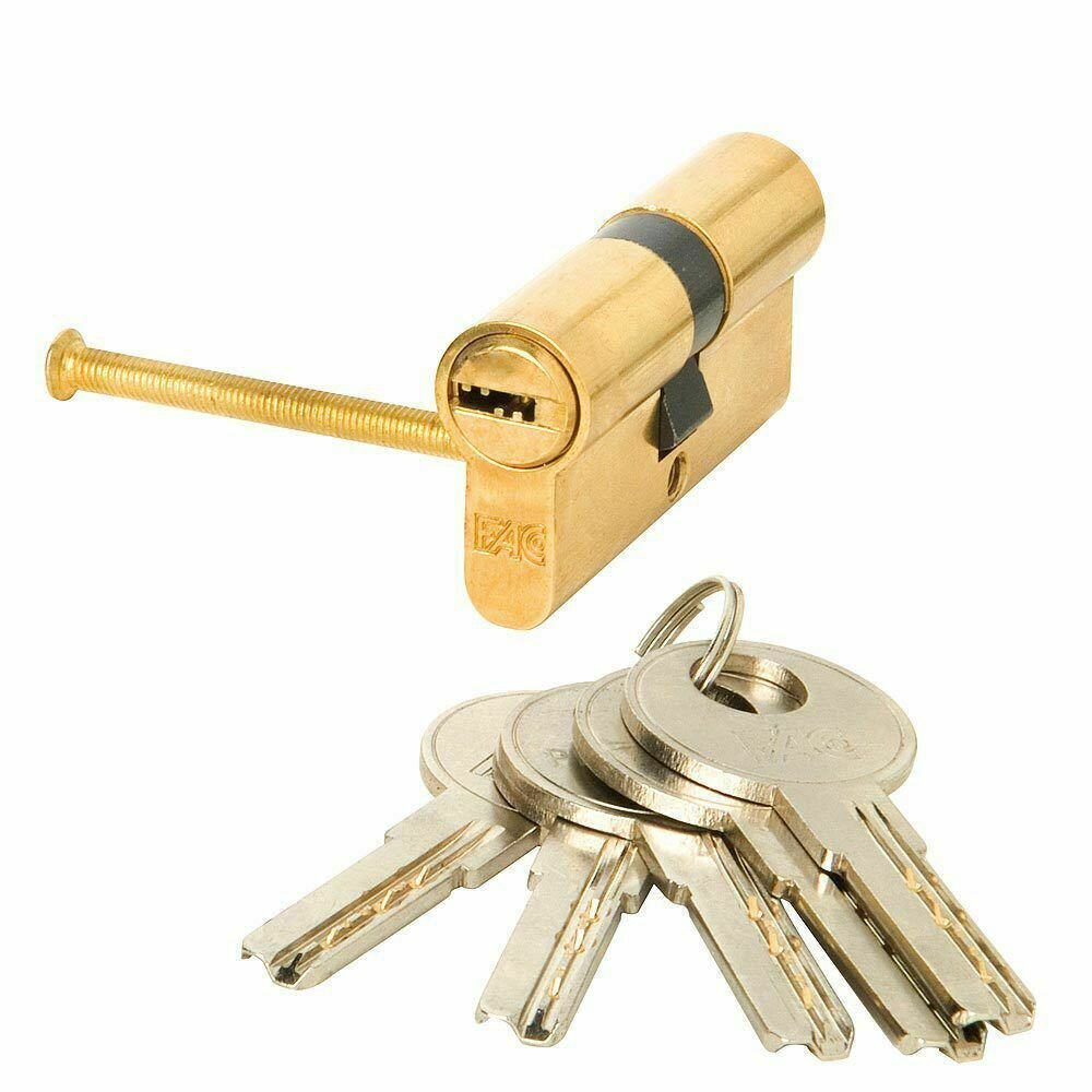 Cilindro Fac Seguridad 70-p 30x40 Latonado 15,0 mm.