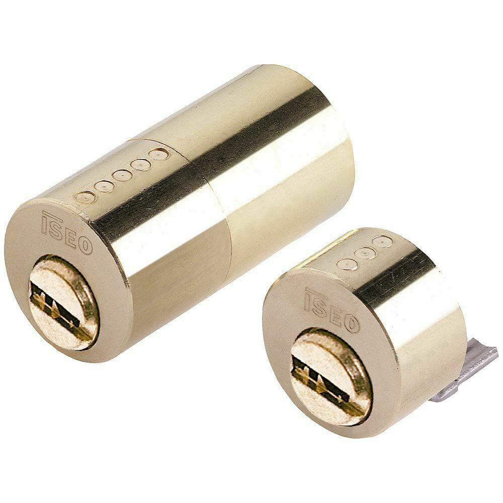 Cilindro Iseo R6 Seguridad Para Cerradura 500
