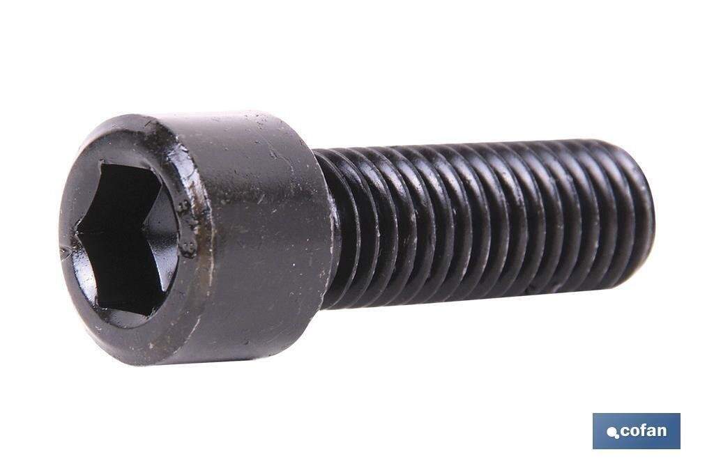 DIN-912 C-8.8    M-10 X 160 N