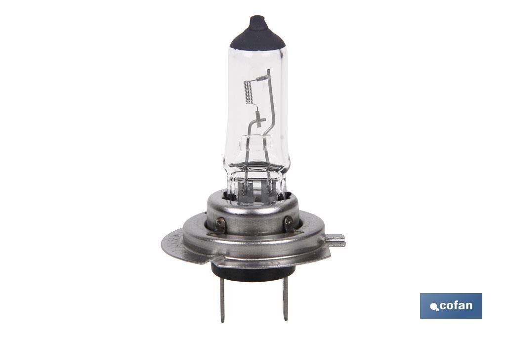 L�MPARA HAL�GENA COFAN H7 (Px26d) 12V 55W