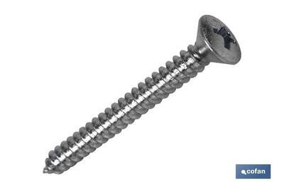 DIN 7983 C-6 M-4,2 X 9,5 Z