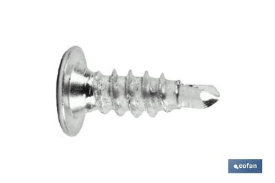 TORNILLO AUTOT. EXTRAPLANO 4,2 X 14 INOX A-2