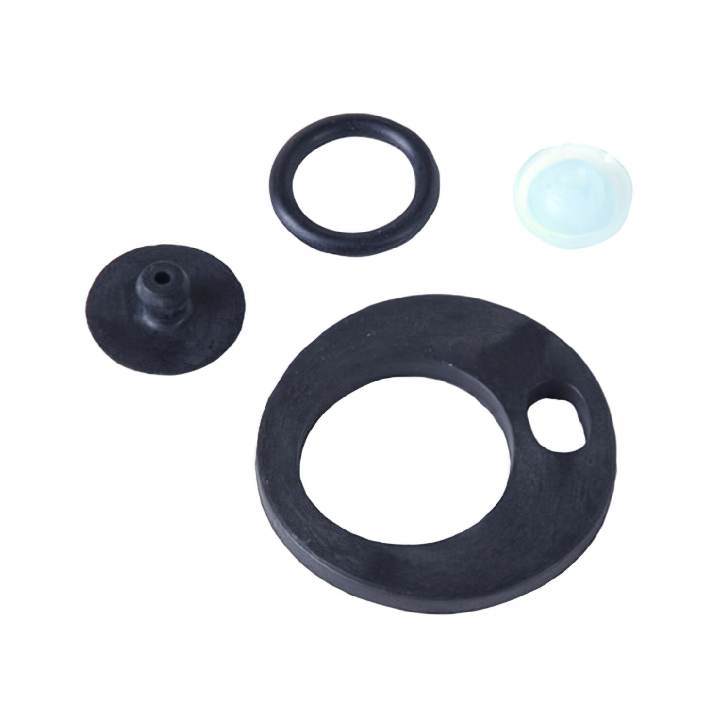 Kit Piezas Recambio Pulverizador 2 litros Papill�n