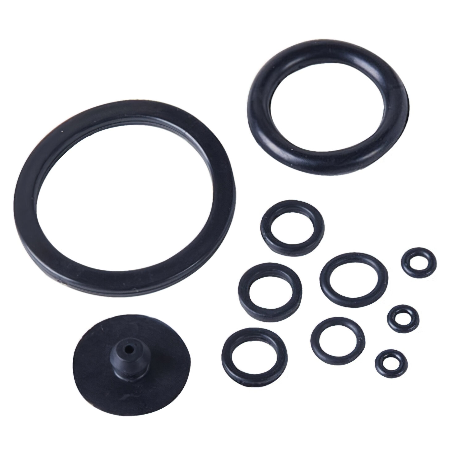 Kit Piezas Recambio Sulfatadora 6 litros Papill�n