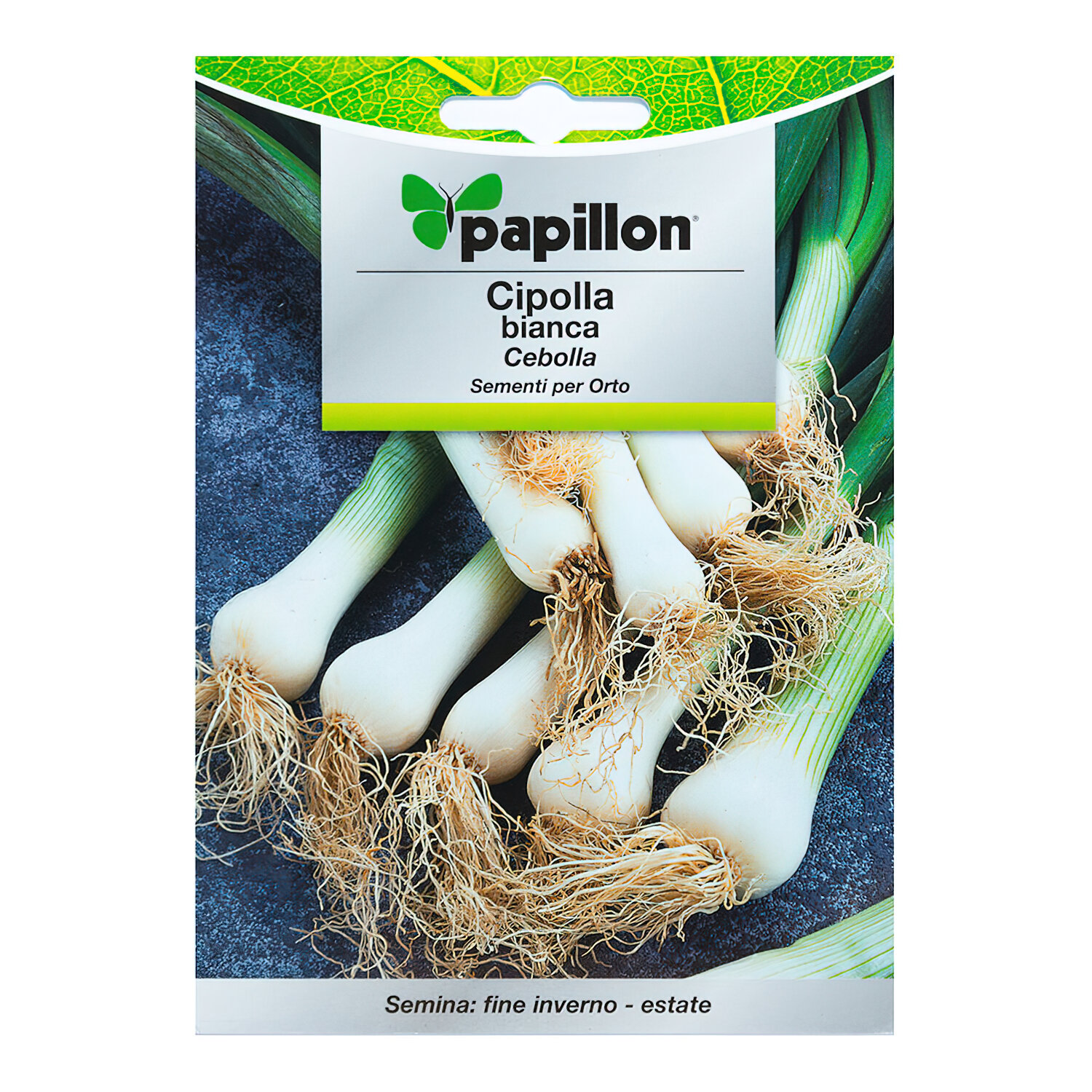 Semillas Cebolla Blanca (4 gramos)