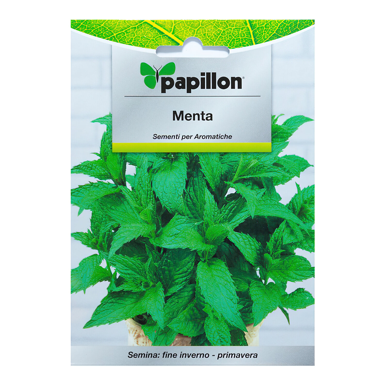 Semillas Aromaticas Menta (0.3 gramos)