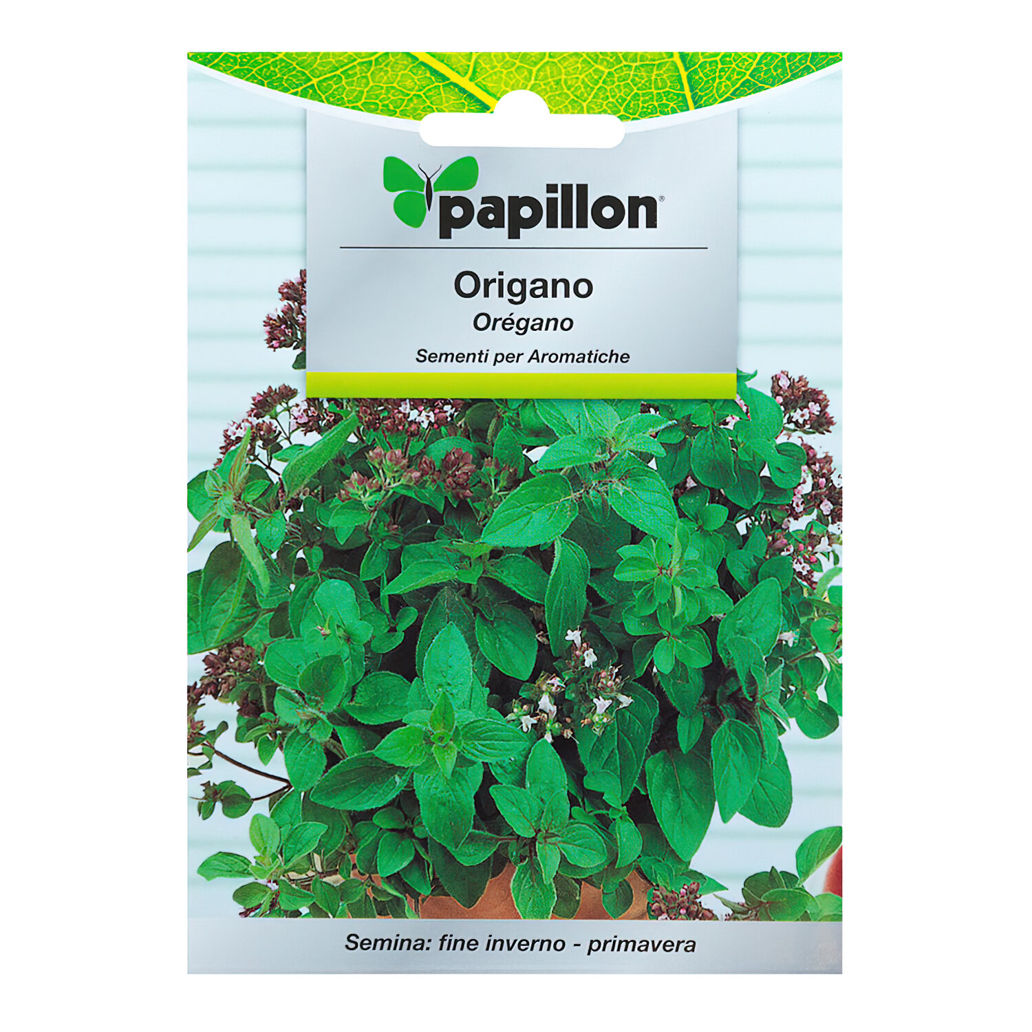 Semillas Aromaticas Oregano (0.3 gramos)