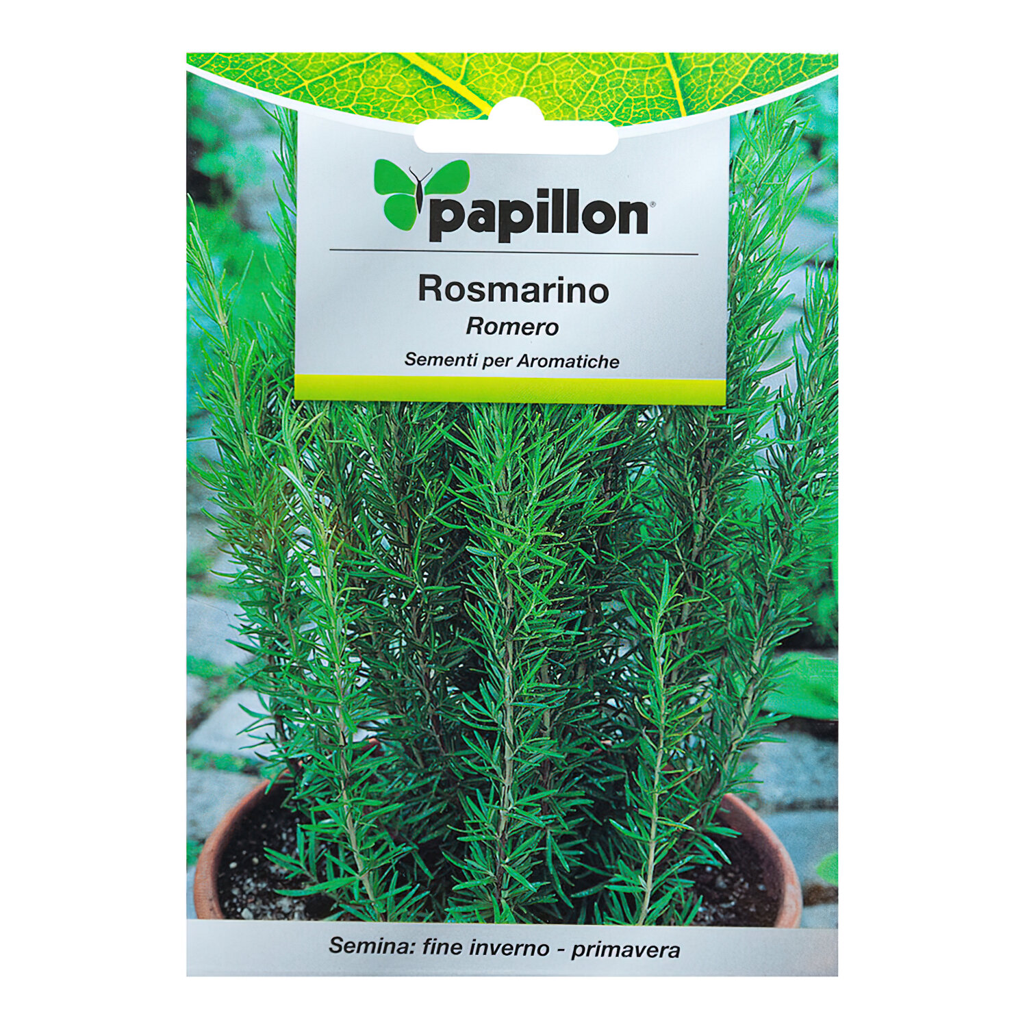 Semillas Aromaticas Romero (0.1 gramos)