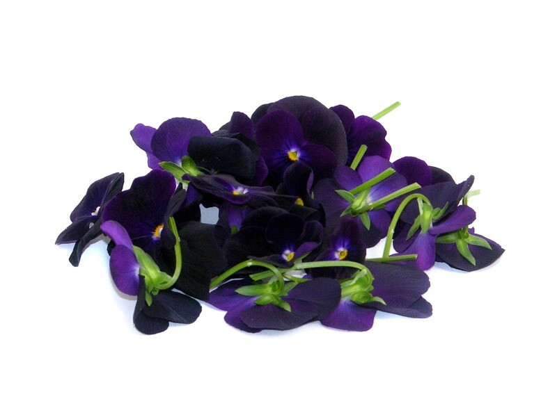 Виола темно-фиолетовая — глубина вкуса и цвета (20 бутонов)