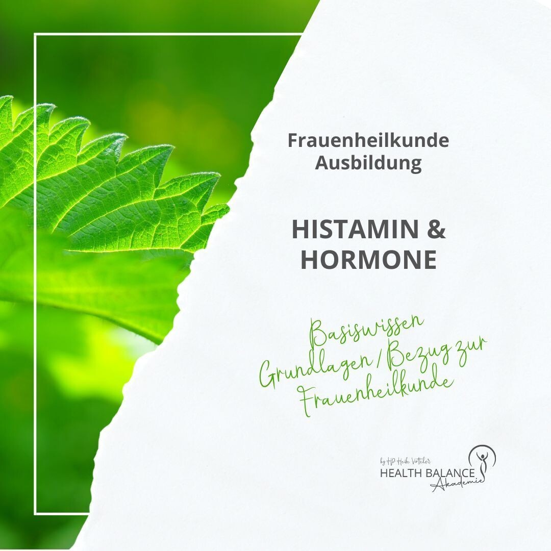 Online Kurs I Histamin Basiswissen & Bezug zu hormonellen Dysbalancen