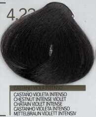 TINTA COLOR GOLD 4.22