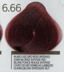 TINTA COLOR GOLD 6.66