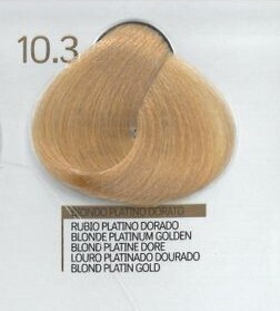 TINTA COLOR GOLD 10.3