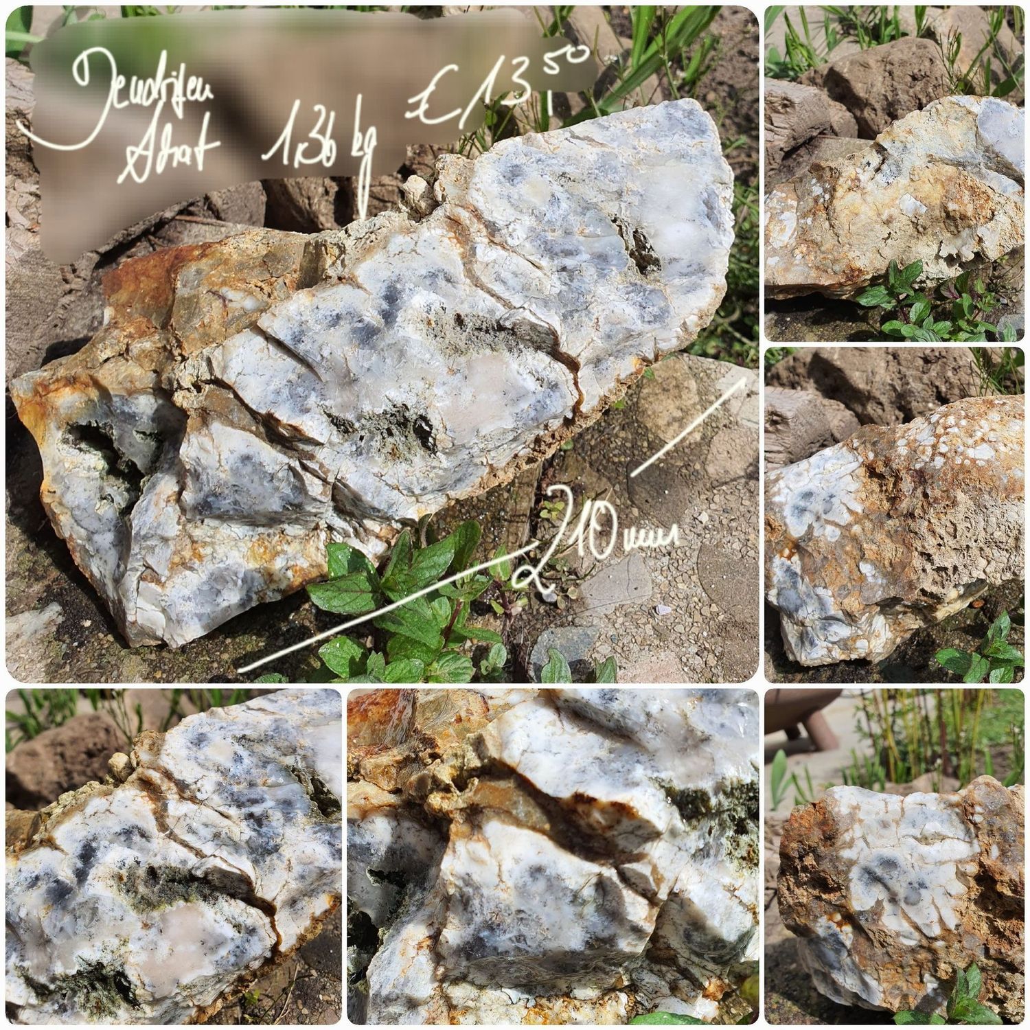 Dendriten Achat 1,36 kg