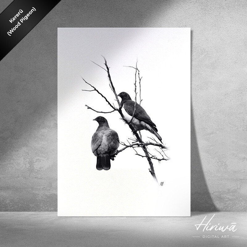 "Kererū | Wood Pigeon"