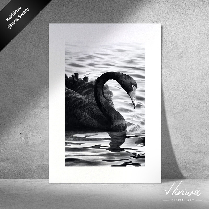 "Kakīānau | Black Swan"