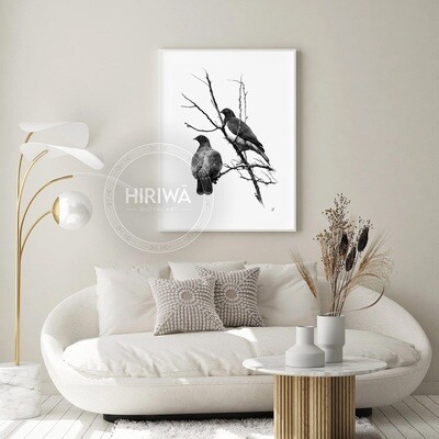 Kererū | Wood Pigeon (Print)
