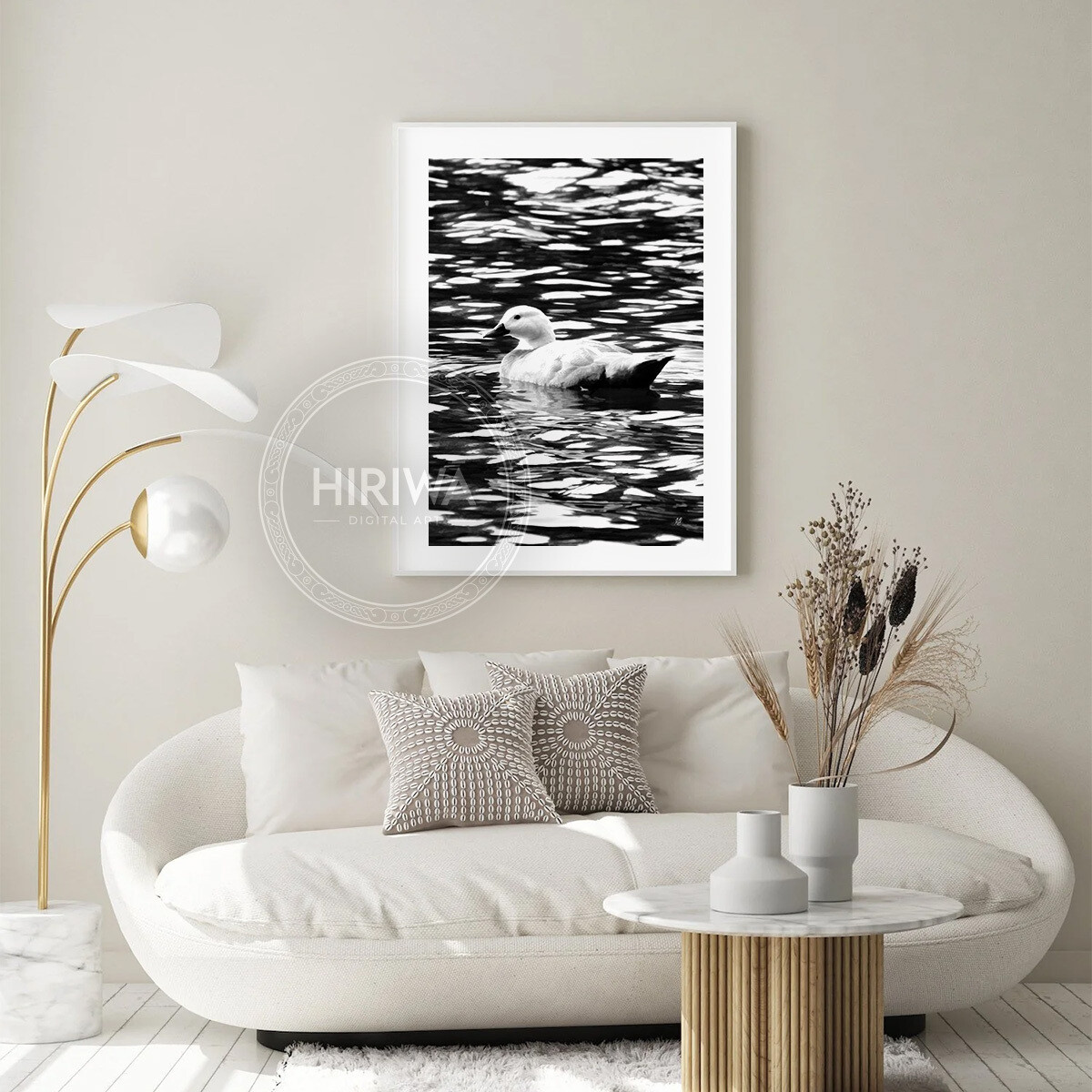 Pūtangitangi | Paradise Duck (Print)