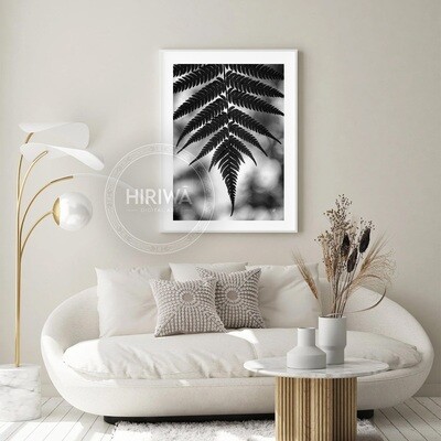 Ponga | Silver Fern (Print)