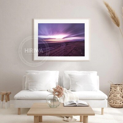 Muriwai Sunset (Print)
