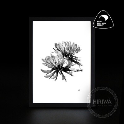 Coral Tree (Print)