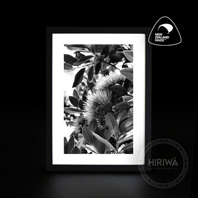 Pōhutukawa (Print)