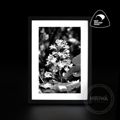 Red Horse-Chestnut Tree (Print)