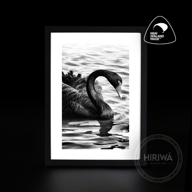 Kakīānau | Black Swan (Print)