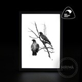 Kererū | Wood Pigeon (Print)