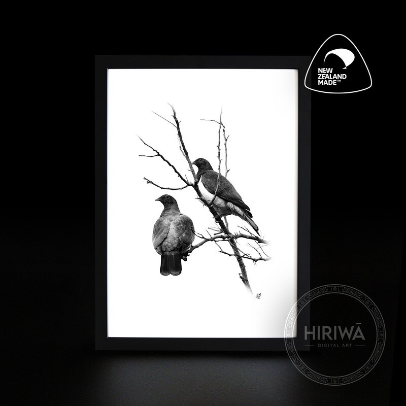 Kererū | Wood Pigeon (Print)