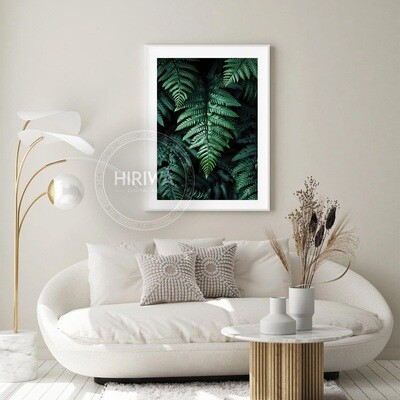 Sanctuary of Ferns (Print)