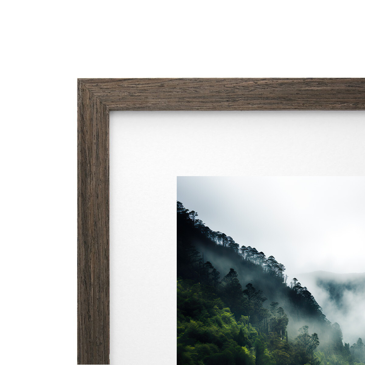 Frame Only — Chocolate (A1)