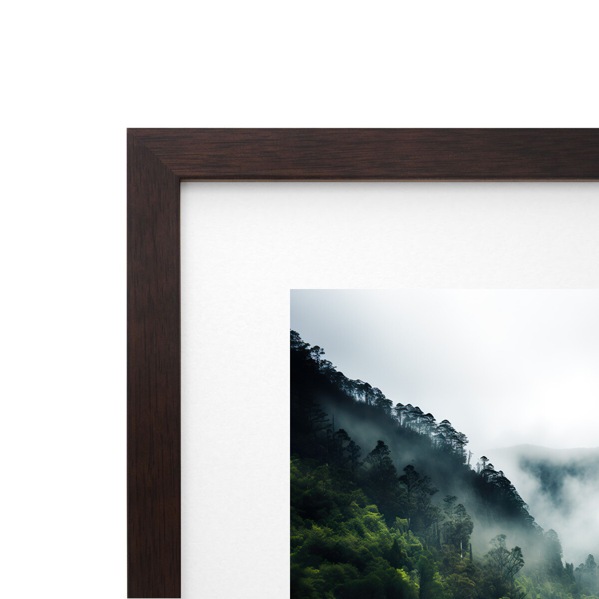 Frame Only — Walnut (A1)
