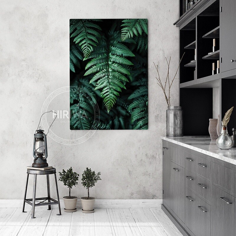 Sanctuary of Ferns (Canvas)