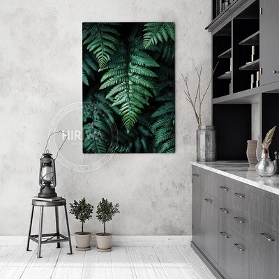 Sanctuary of Ferns (Canvas)