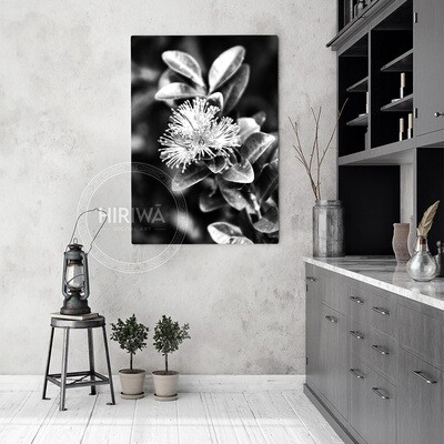 Akatawhiwhi | Rātā Vine (Canvas)