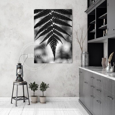 Ponga | Silver Fern (Canvas)