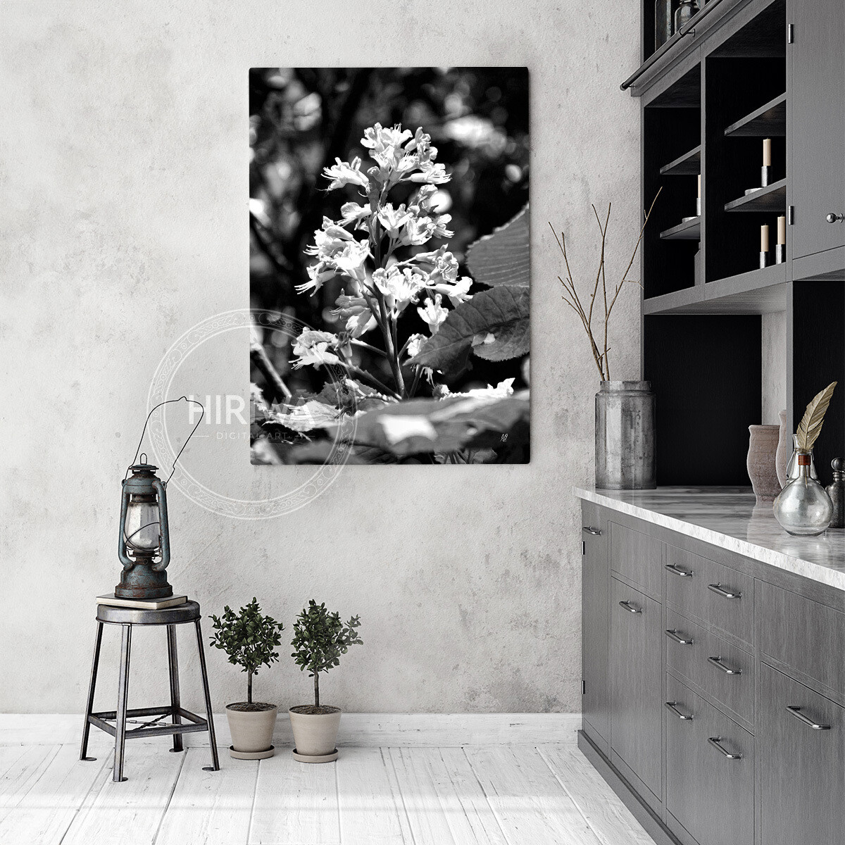 Red Horse-Chestnut Tree (Canvas)