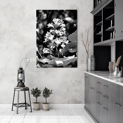 Red Horse-Chestnut Tree (Canvas)