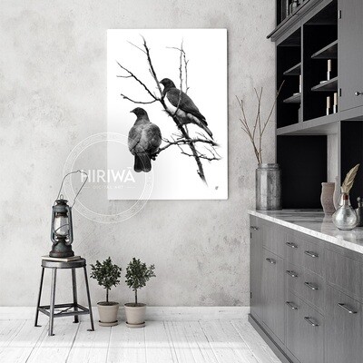 Kererū | Wood Pigeon (Canvas)