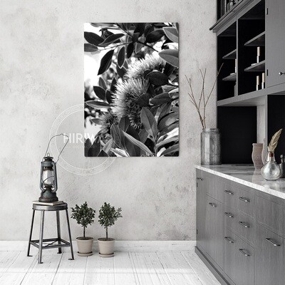 Pōhutukawa (Canvas)