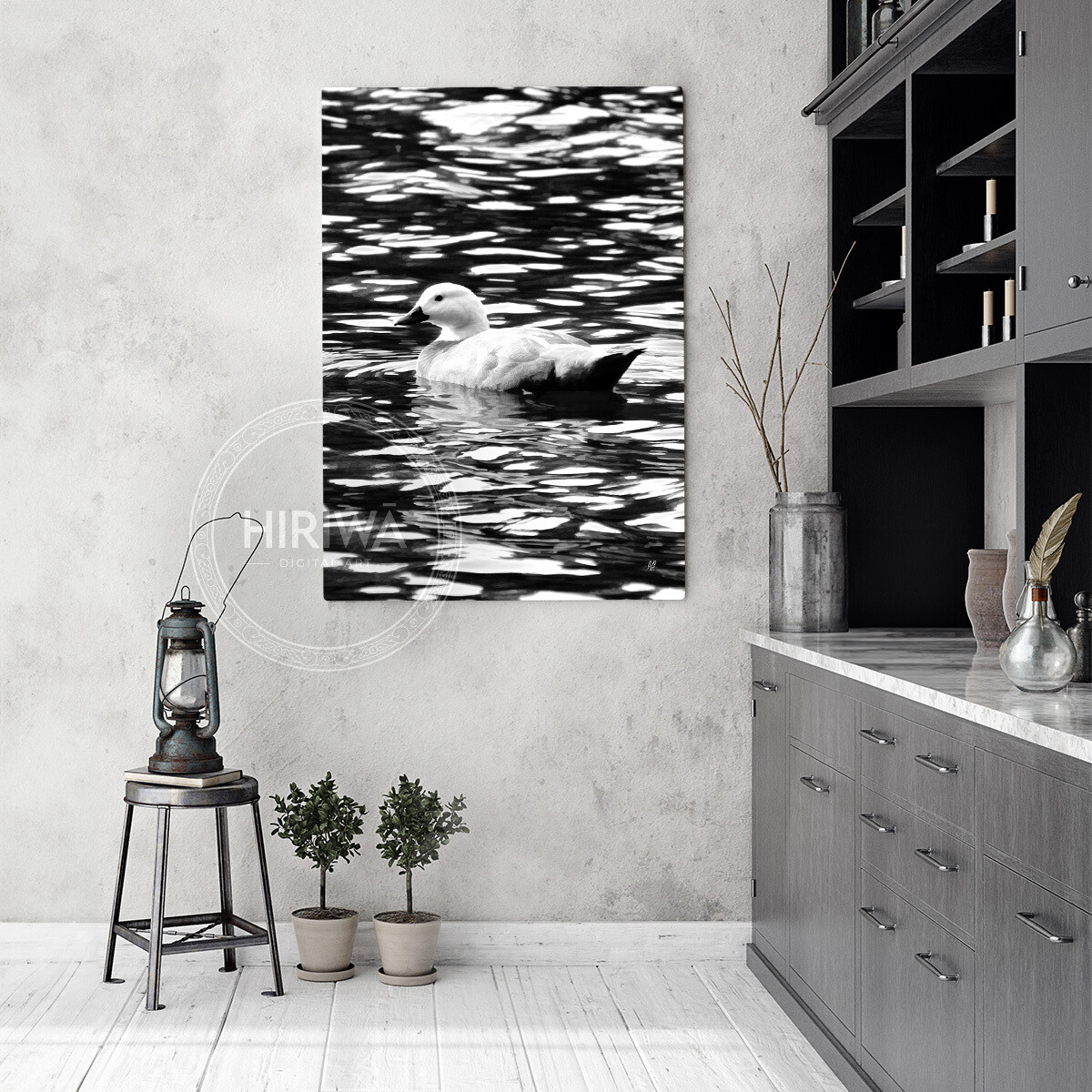 Pūtangitangi | Paradise Duck (Canvas)