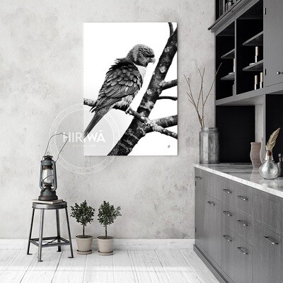 Rainbow Lorikeet (Canvas)