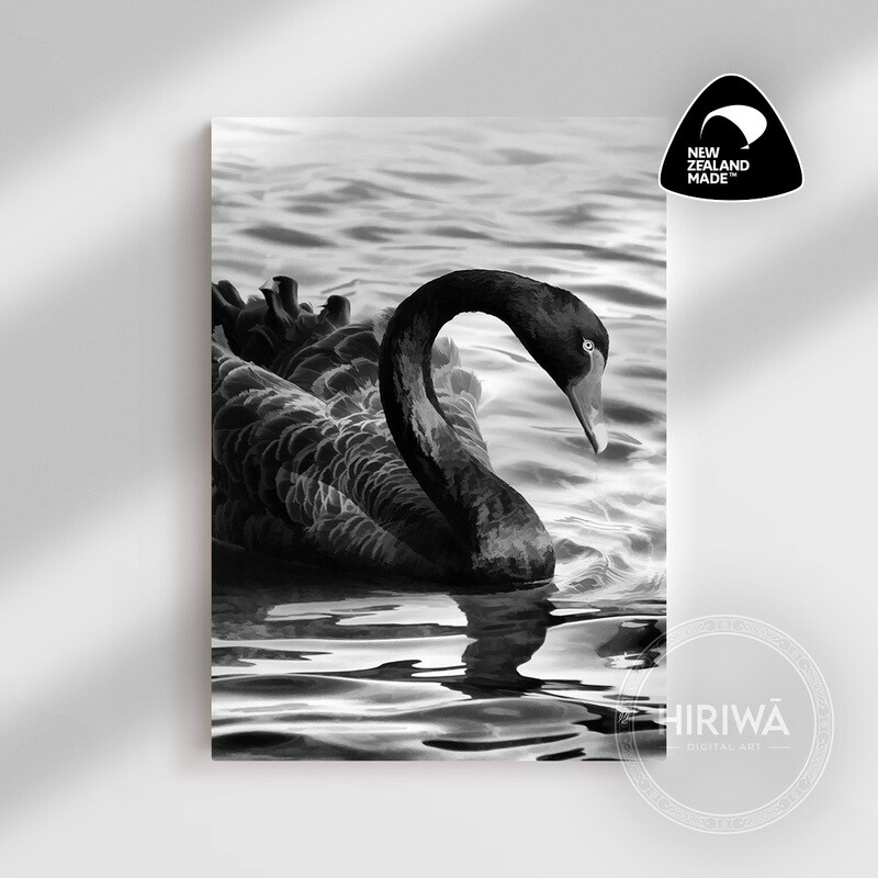 Kakīānau | Black Swan (Canvas)
