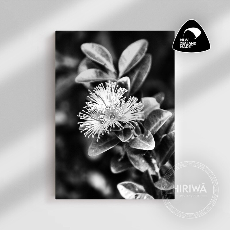 Akatawhiwhi | Rātā Vine (Canvas)